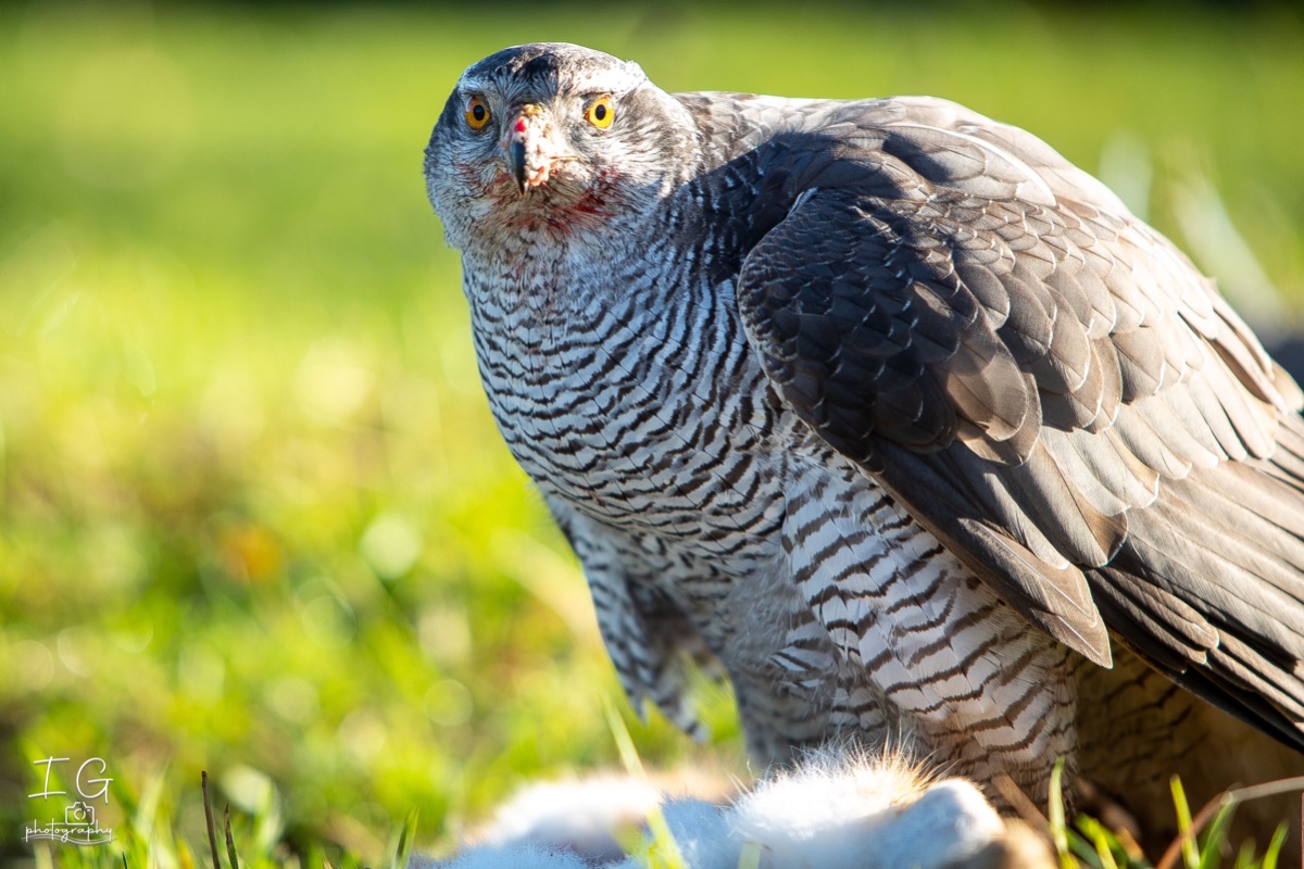 1DX43262 21 november 2021 1209 24